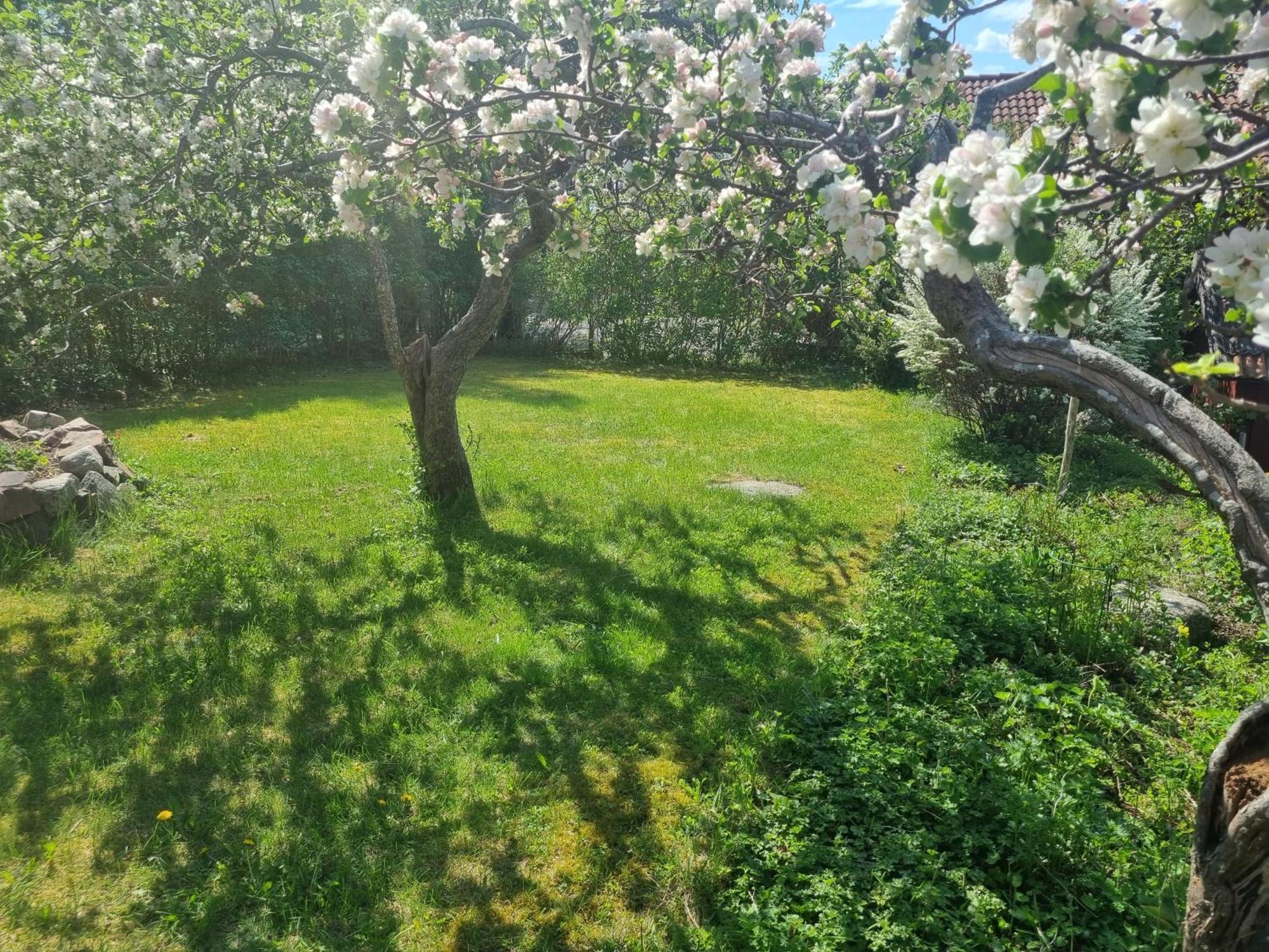 Saellinge House - Cozy Villa With Fireplace And Garden Close To 웁살라 외부 사진